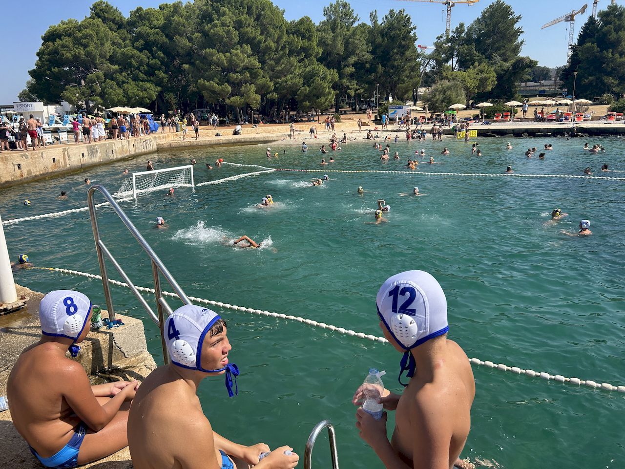 porečki delfin 2